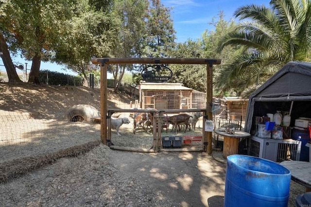 view of yard featuring a patio