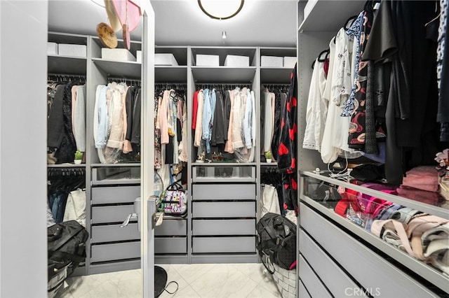 view of spacious closet