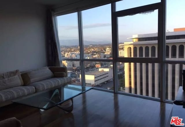 living room with floor to ceiling windows and hardwood / wood-style flooring