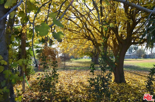 view of landscape