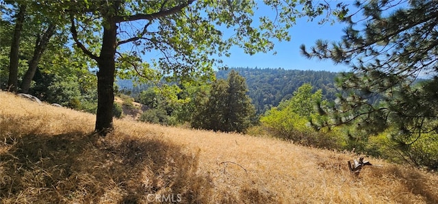 Listing photo 3 for 0 Edelweiss Dr, Crestline CA 92325