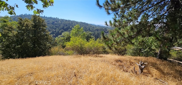 Listing photo 2 for 0 Edelweiss Dr, Crestline CA 92325