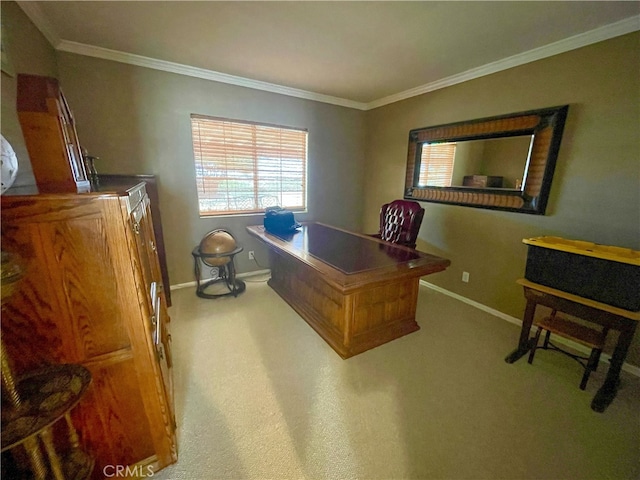 carpeted home office featuring crown molding