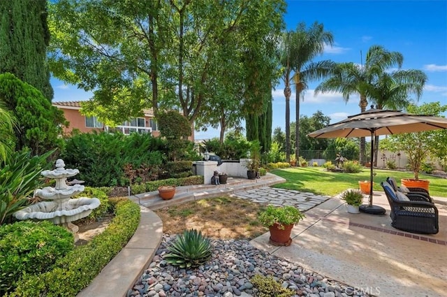 view of yard featuring a patio