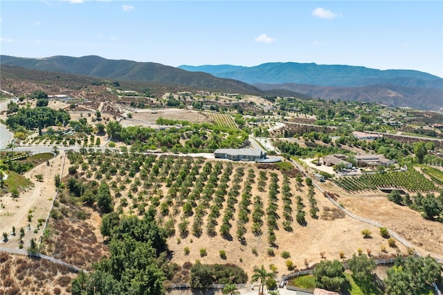 birds eye view of property with a mountain view and a rural view