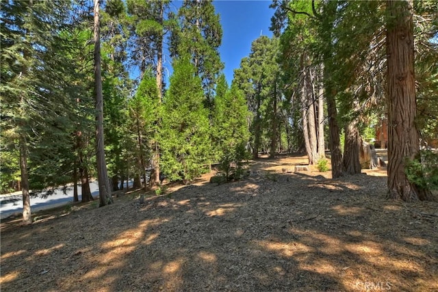 Listing photo 3 for 388 Cedar Ridge Dr, Lake Arrowhead CA 92352