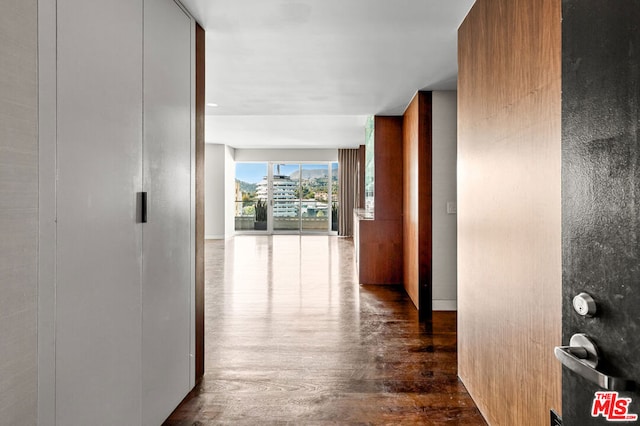 corridor with dark wood-type flooring