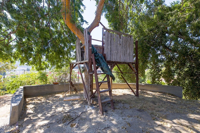 view of jungle gym