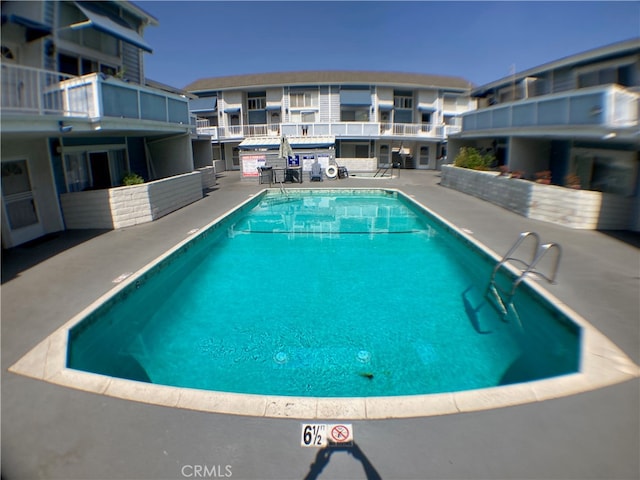 view of pool featuring a patio area