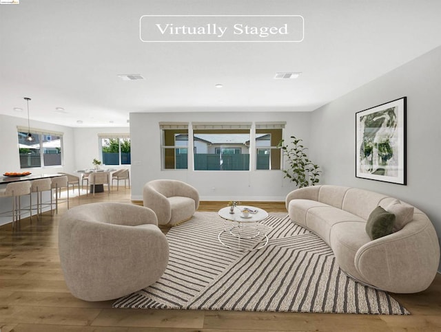 living room featuring wood-type flooring