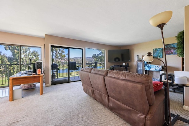 view of carpeted living room