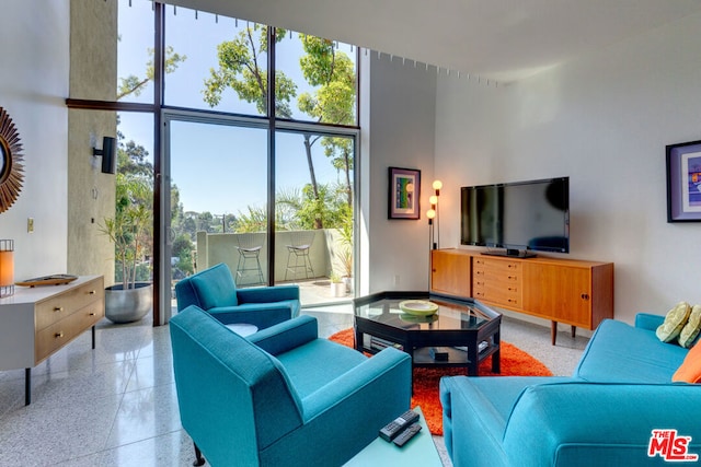 living room with plenty of natural light and a towering ceiling