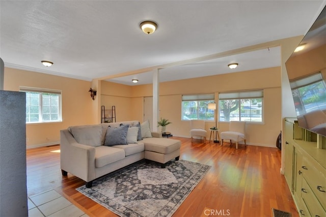 living room with crown molding, light wood-type flooring, and a healthy amount of sunlight