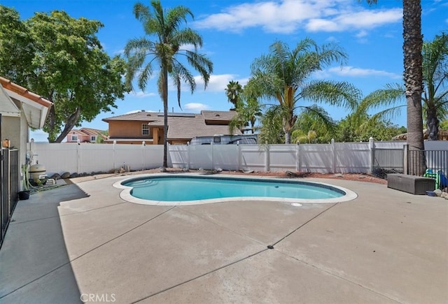 view of swimming pool featuring a patio area