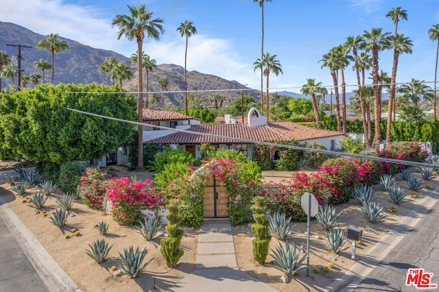 property view of mountains