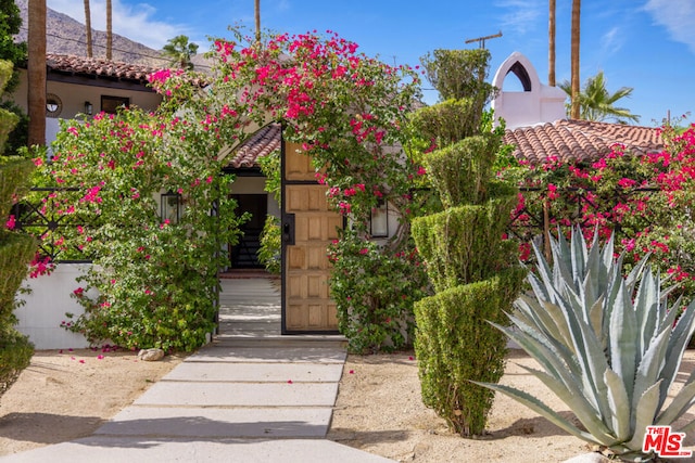 view of entrance to property