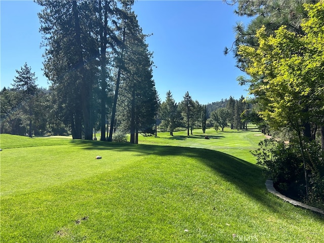 surrounding community featuring a lawn