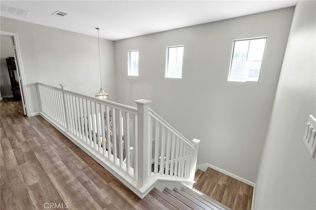 stairway featuring hardwood / wood-style floors and plenty of natural light