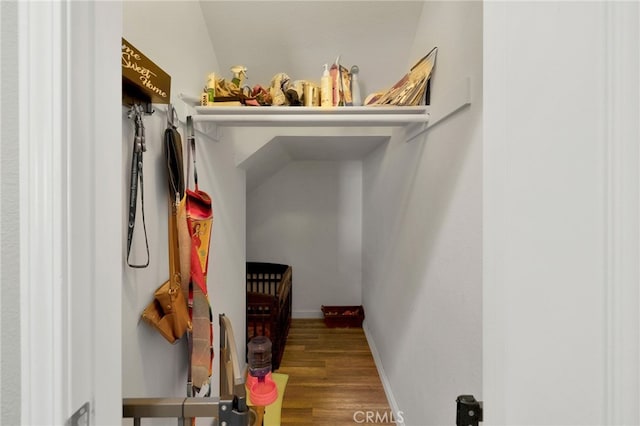 walk in closet featuring lofted ceiling and hardwood / wood-style floors