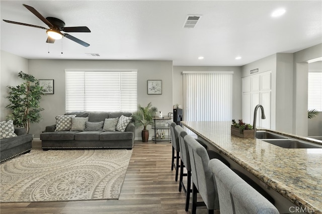 interior space with wood-type flooring, ceiling fan, and sink