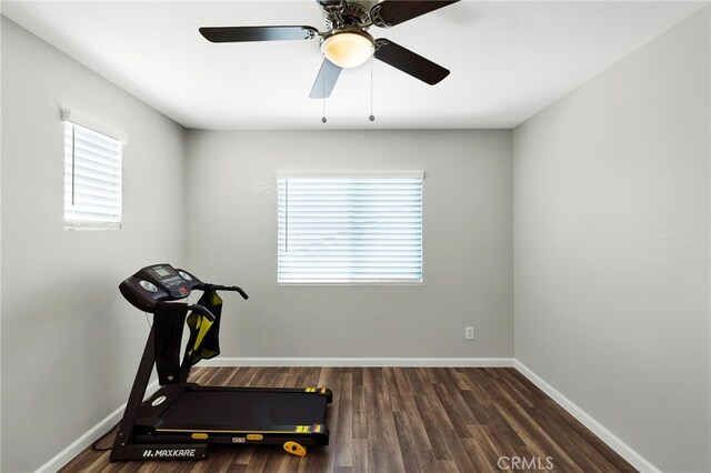 exercise room featuring ceiling fan and dark wood-type flooring