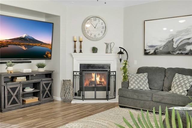 living room featuring hardwood / wood-style flooring