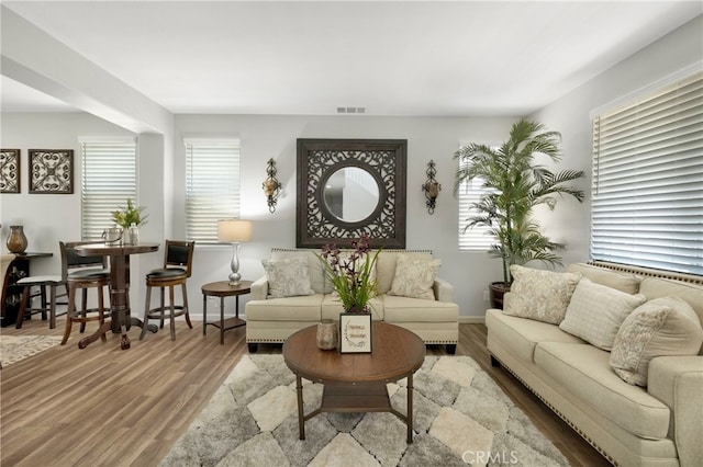 living room featuring wood-type flooring and a wealth of natural light