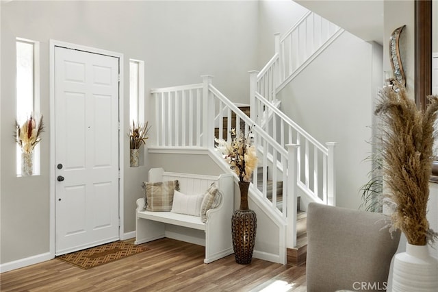 foyer featuring wood-type flooring