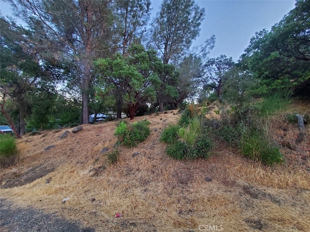 Listing photo 3 for 17482 Deer Hill Rd, Hidden Valley Lake CA 95467