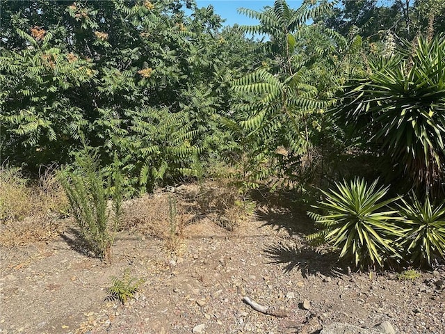18941 E Smiley Dr, Orange, CA 92869 - photo 1