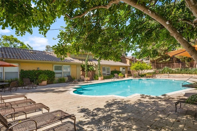 view of swimming pool with a patio area