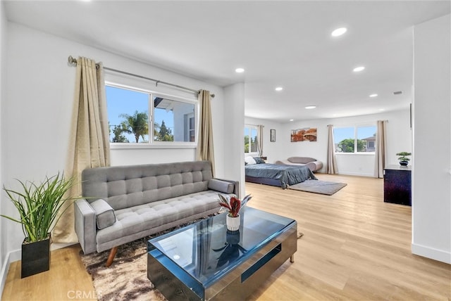 living room with light hardwood / wood-style flooring