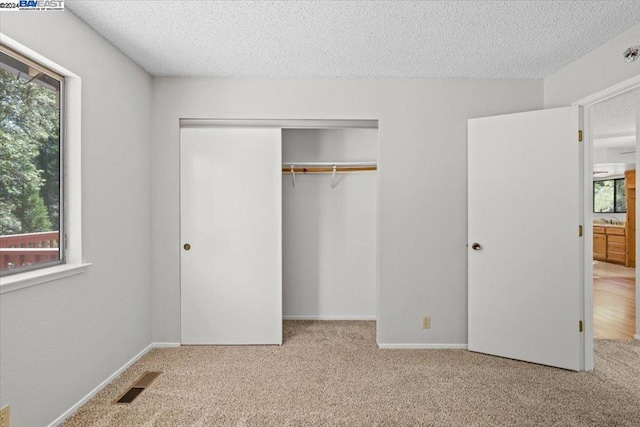 unfurnished bedroom featuring multiple windows, light colored carpet, and a textured ceiling