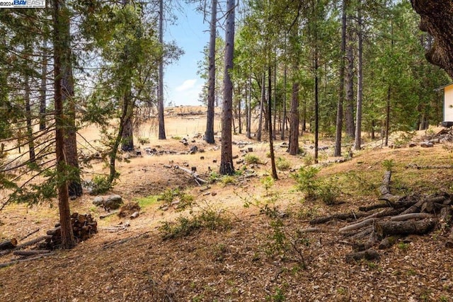 view of local wilderness