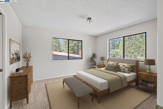 bedroom featuring multiple windows, a textured ceiling, and light carpet