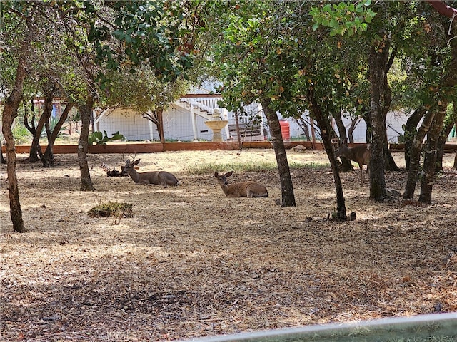 9717 Mount Hood Way, Kelseyville CA, 95451 land for sale