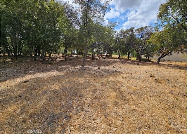 Listing photo 2 for 9599 Timberline Ct, Kelseyville CA 95451