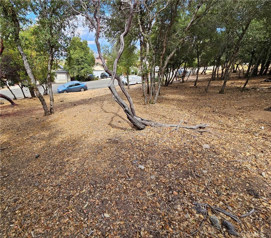 9599 Timberline Ct, Kelseyville, CA 95451 - photo 4