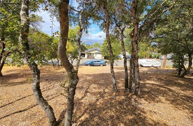 Listing photo 3 for 9599 Timberline Ct, Kelseyville CA 95451