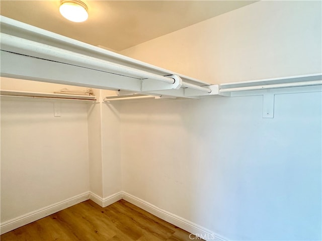 spacious closet featuring hardwood / wood-style flooring