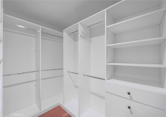 333 Burchett St Unit 308, Glendale, CA 91203 - view of spacious closet
