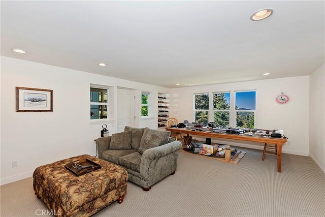 living room featuring light carpet