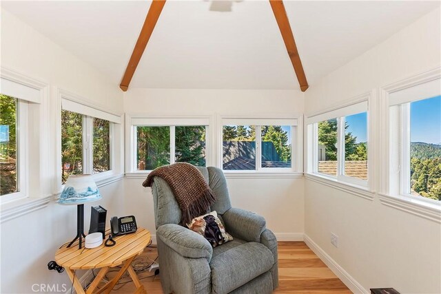 living area featuring lofted ceiling with beams, a wealth of natural light, and light wood-type flooring