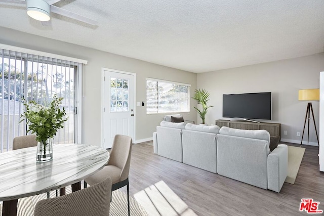 living room with wood-type flooring, ceiling fan, and a textured ceiling