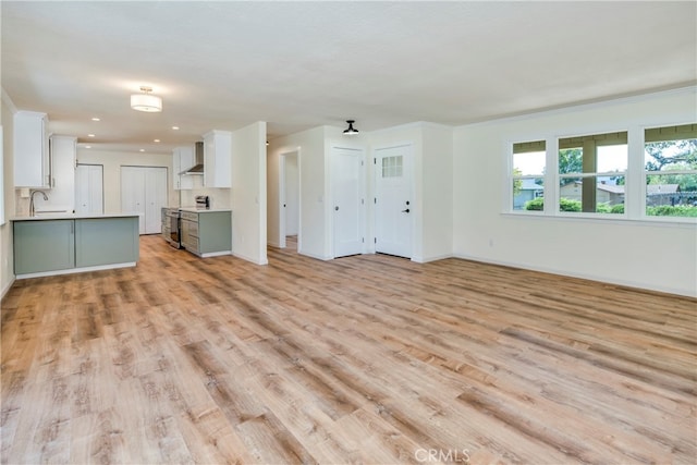 unfurnished living room with light hardwood / wood-style floors and sink