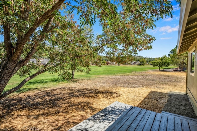 view of yard featuring a deck