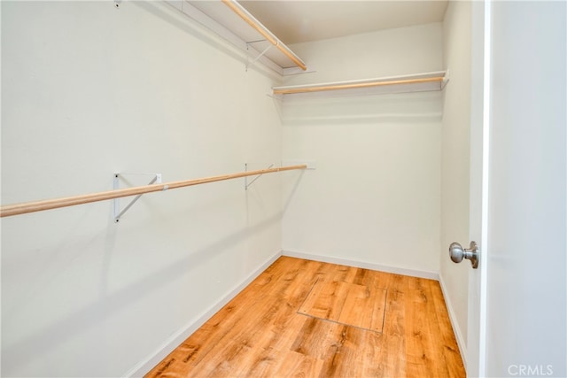 spacious closet with hardwood / wood-style floors