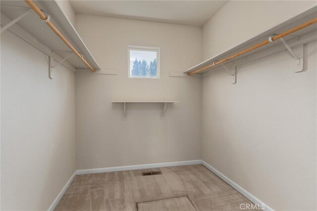 walk in closet with light carpet