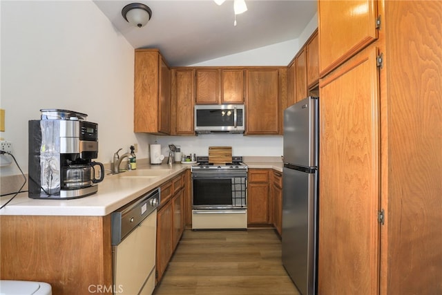 kitchen featuring sink, stainless steel appliances, dark hardwood / wood-style flooring, and lofted ceiling