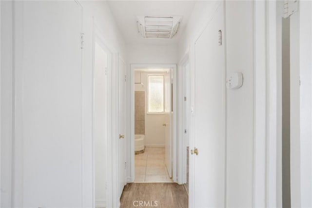 corridor featuring light hardwood / wood-style floors